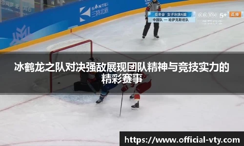 冰鹤龙之队对决强敌展现团队精神与竞技实力的精彩赛事